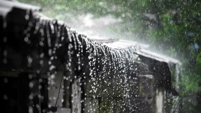 রাজধানীসহ দেশের যেসব এলাকায় আজ হতে পারে বৃষ্টি