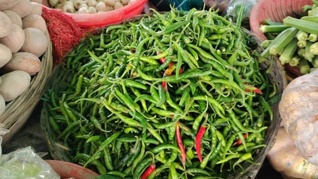 কাঁচা মরিচ আমদানির অনুমতি