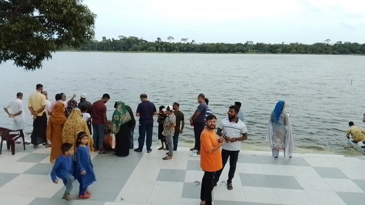 ভাইরাল ভিডিও ঘিরে বিভ্রান্তি, দিঘির ঘাটে কুকুর–কুমির ঘটনা ছিল দুর্ঘটনা